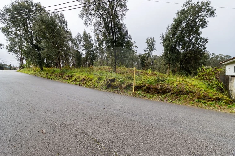 Terreno para Venda em Vila de Cucujães Foto 4
