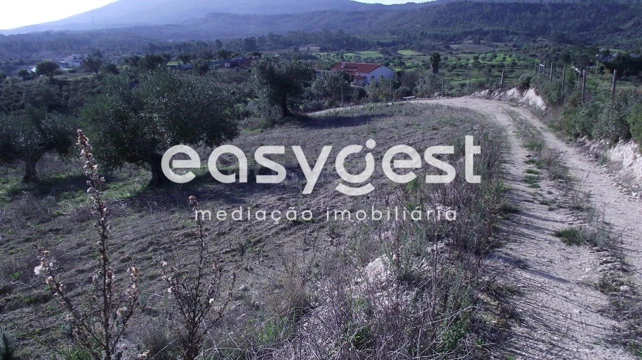 Terreno Agricola ou Rústico para Venda em Chancelaria Foto 1