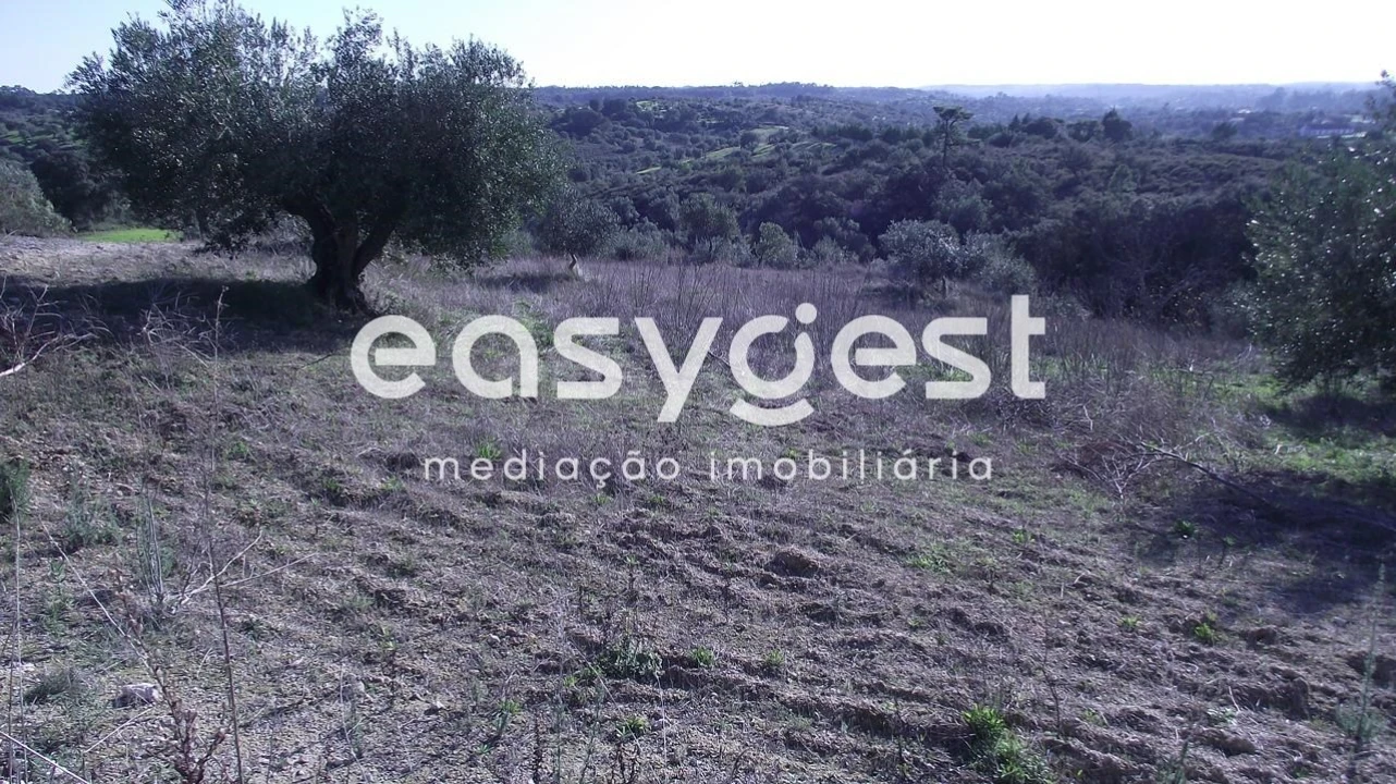 Terreno Agricola ou Rústico para Venda em Chancelaria Foto 2