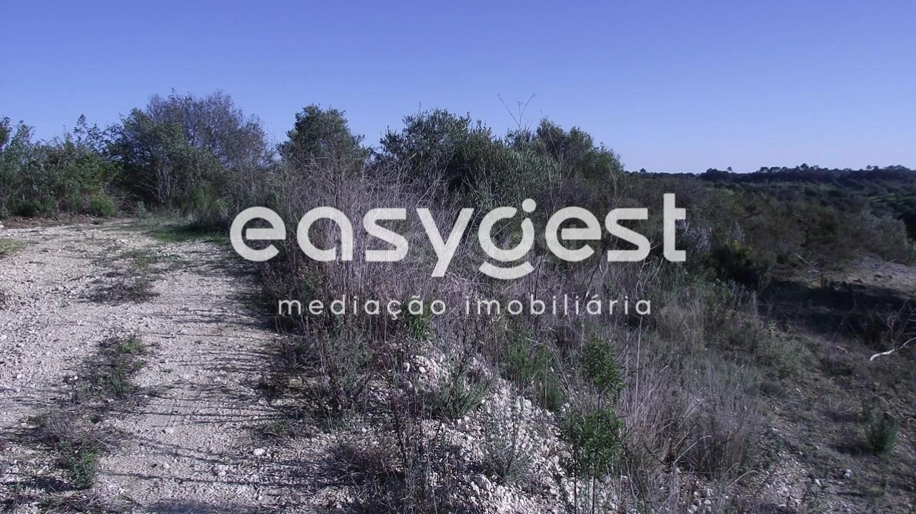 Terreno Agricola ou Rústico para Venda em Chancelaria Foto 3