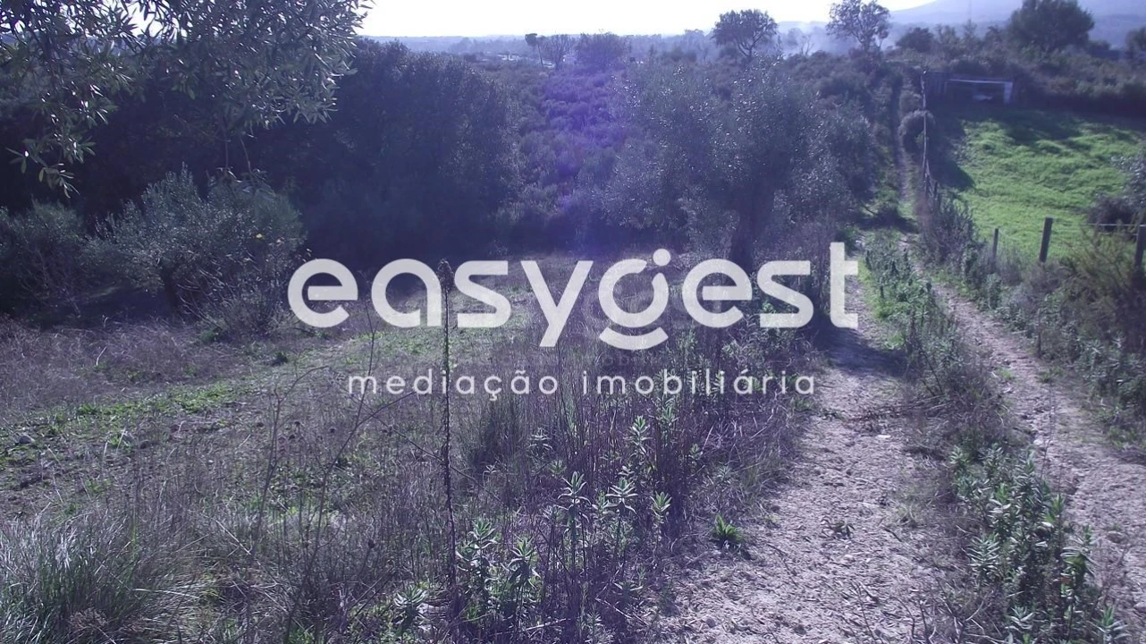 Terreno Agricola ou Rústico para Venda em Chancelaria Foto 6