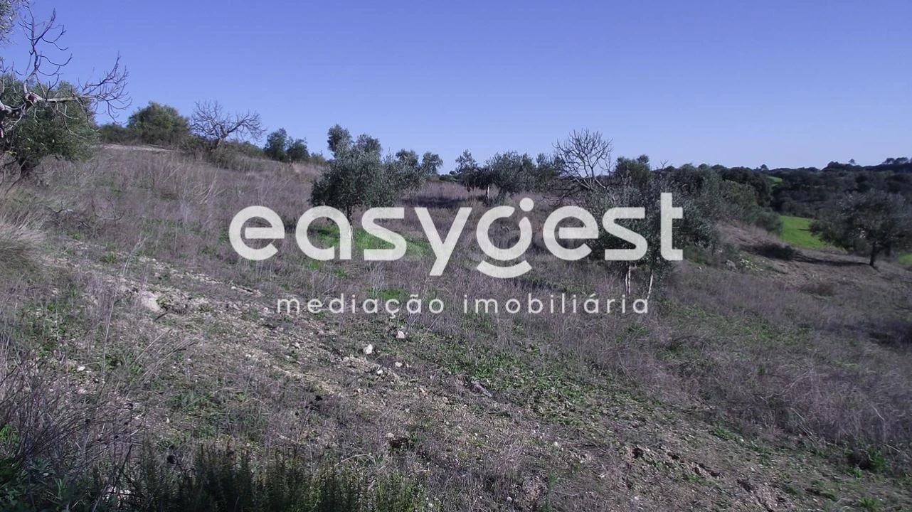 Terreno Agricola ou Rústico para Venda em Chancelaria Foto 9