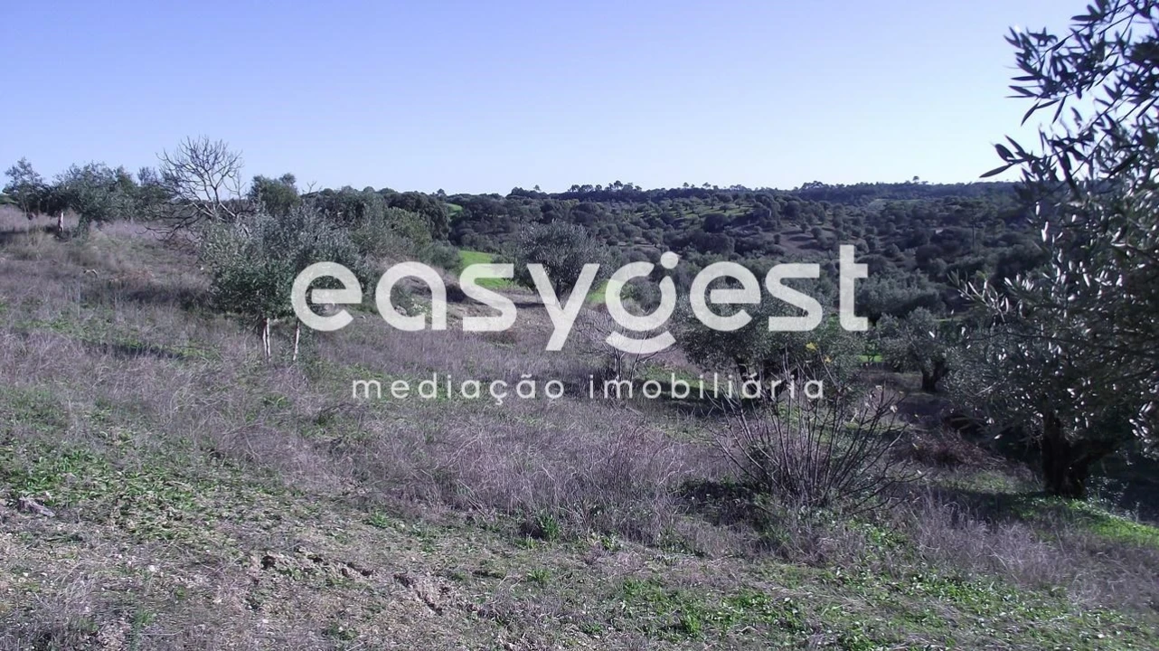 Terreno Agricola ou Rústico para Venda em Chancelaria Foto 10