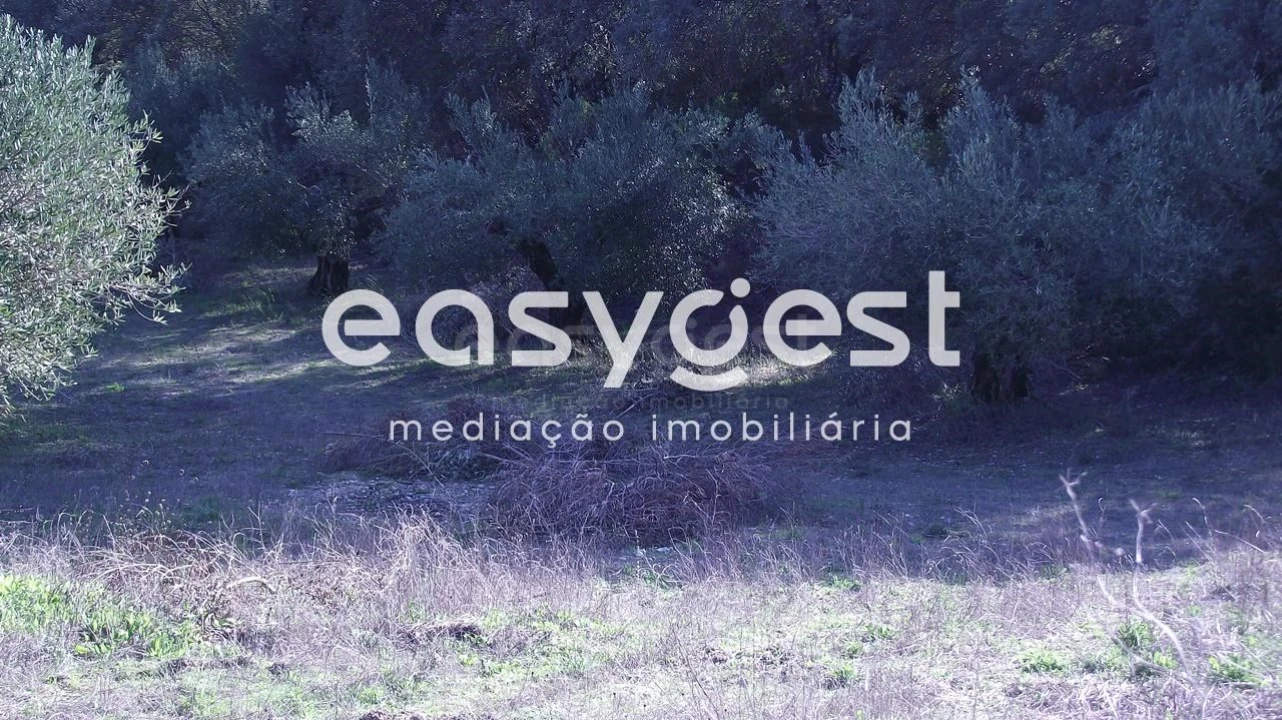 Terreno Agricola ou Rústico para Venda em Chancelaria Foto 11