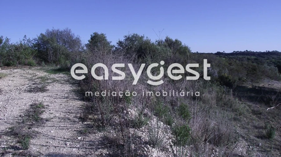 Terreno Agricola ou Rústico para Venda em Chancelaria Foto 3