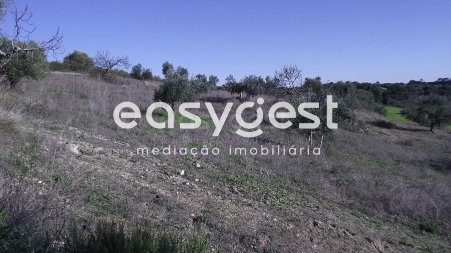 Terreno Agricola ou Rústico para Venda em Chancelaria Foto 9