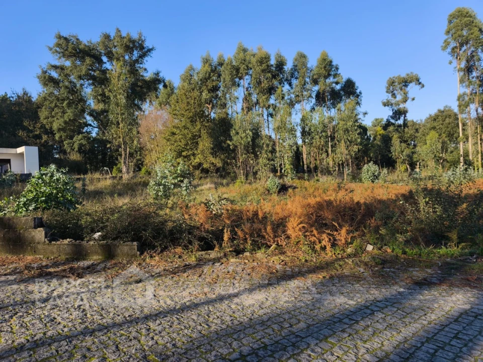 Terreno para Venda em Forjães Foto 4