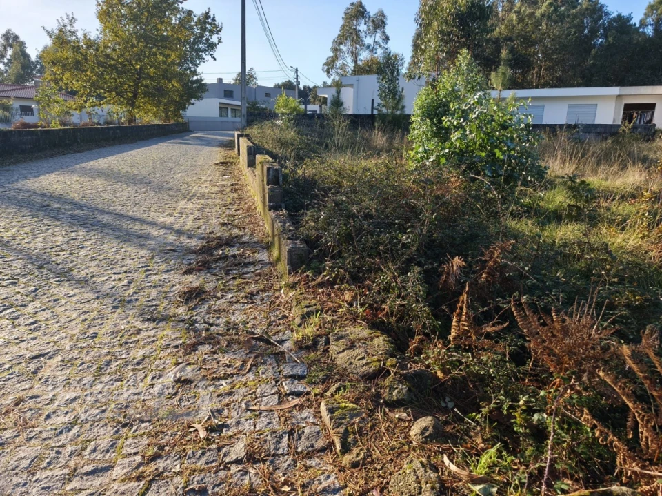 Terreno para Venda em Forjães Foto 7
