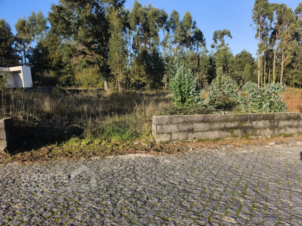 Terreno para Venda em Forjães Foto 9