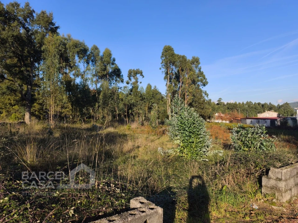 Terreno para Venda em Forjães Foto 10