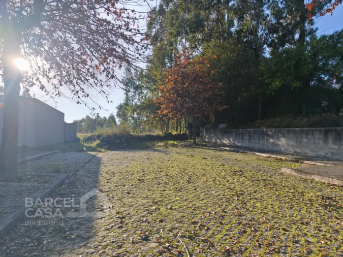 Terreno para Venda em Forjães Foto 12