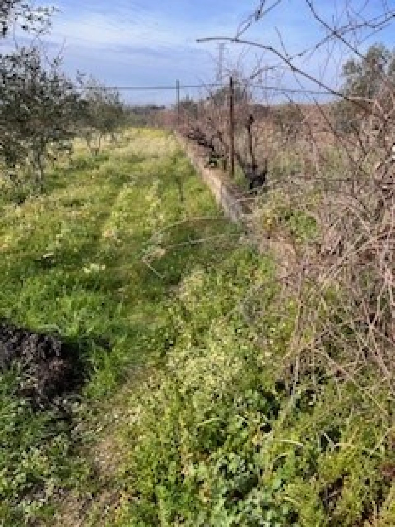 Terreno Agricola ou Rústico para Venda em Ferro Foto 4