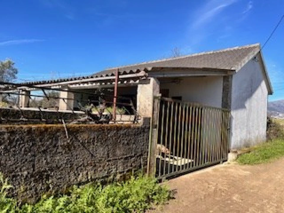 Terreno Agricola ou Rústico para Venda em Ferro Foto 13