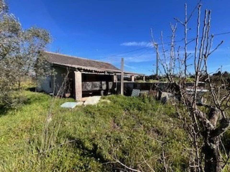 Terreno Agricola ou Rústico para Venda em Ferro Foto 1