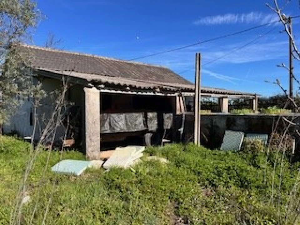 Terreno Agricola ou Rústico para Venda em Ferro Foto 17