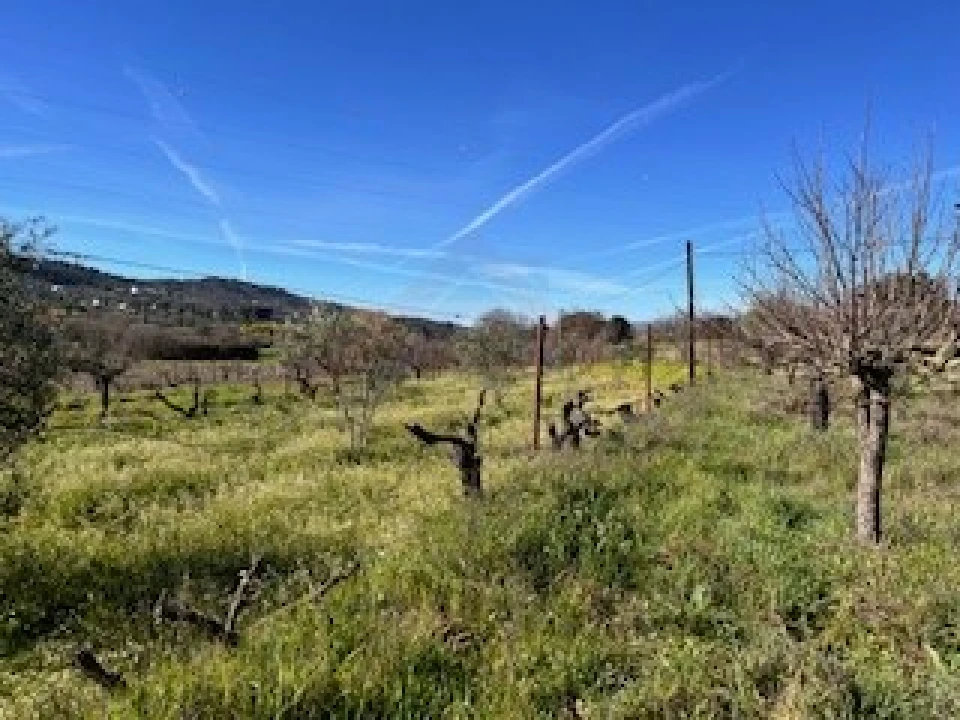 Terreno Agricola ou Rústico para Venda em Ferro Foto 20