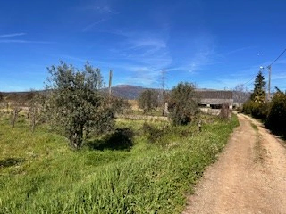 Terreno Agricola ou Rústico para Venda em Ferro Foto 22