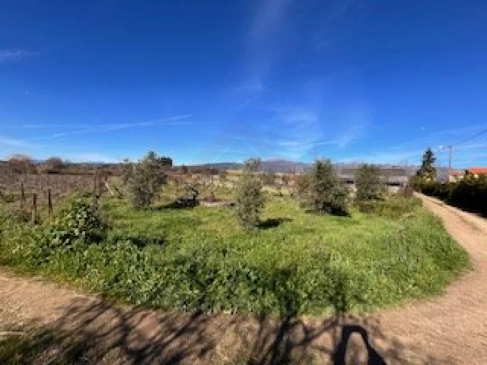 Terreno Agricola ou Rústico para Venda em Ferro Foto 25
