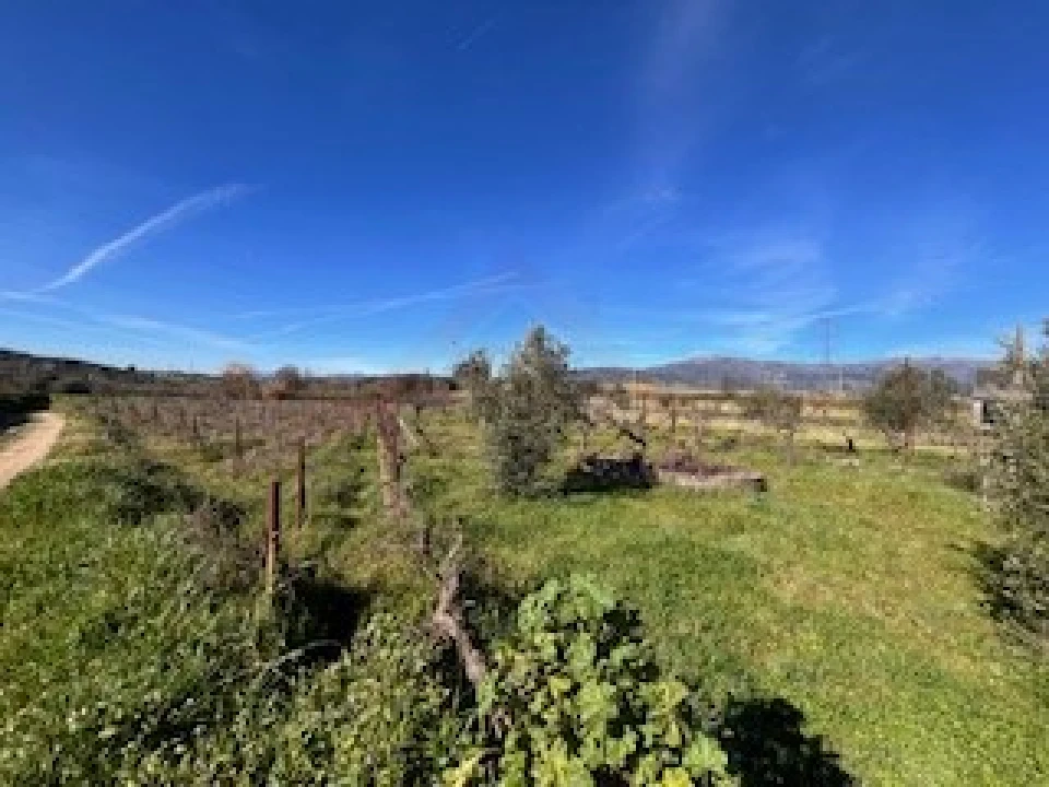 Terreno Agricola ou Rústico para Venda em Ferro Foto 26