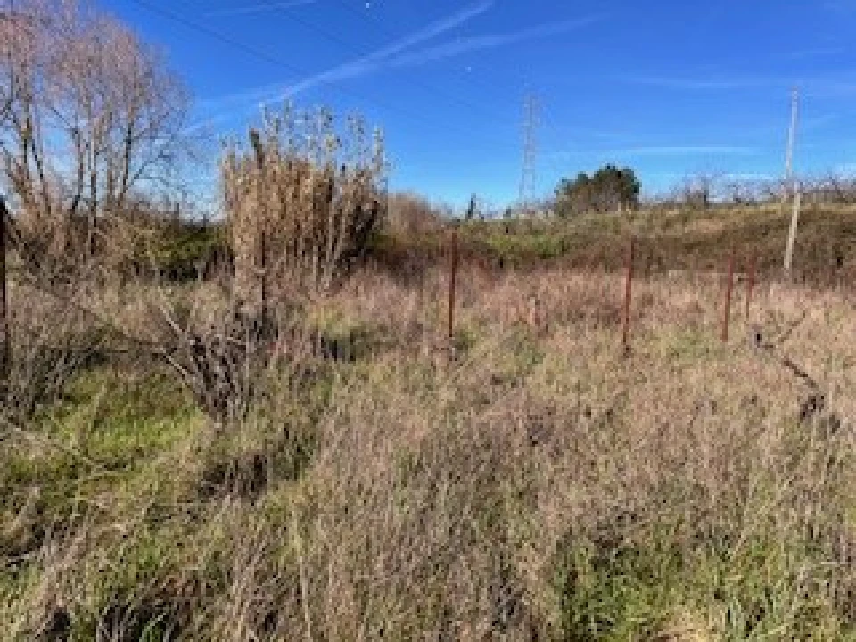 Terreno Agricola ou Rústico para Venda em Ferro Foto 28