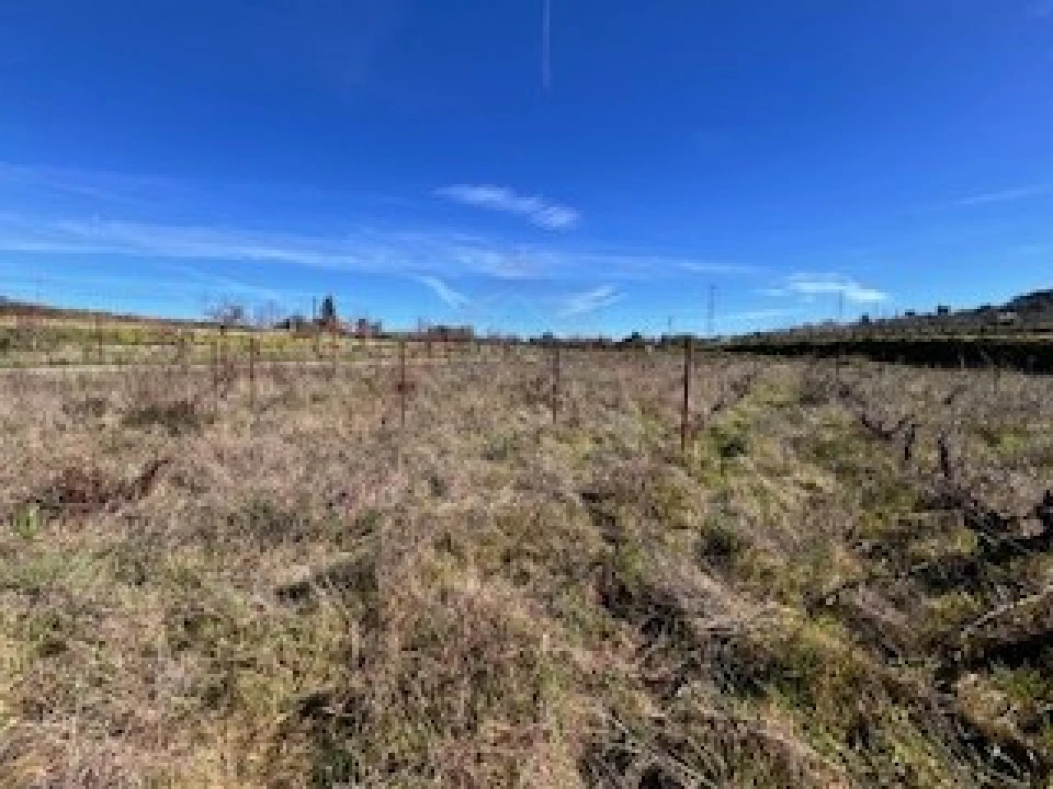 Terreno Agricola ou Rústico para Venda em Ferro Foto 30