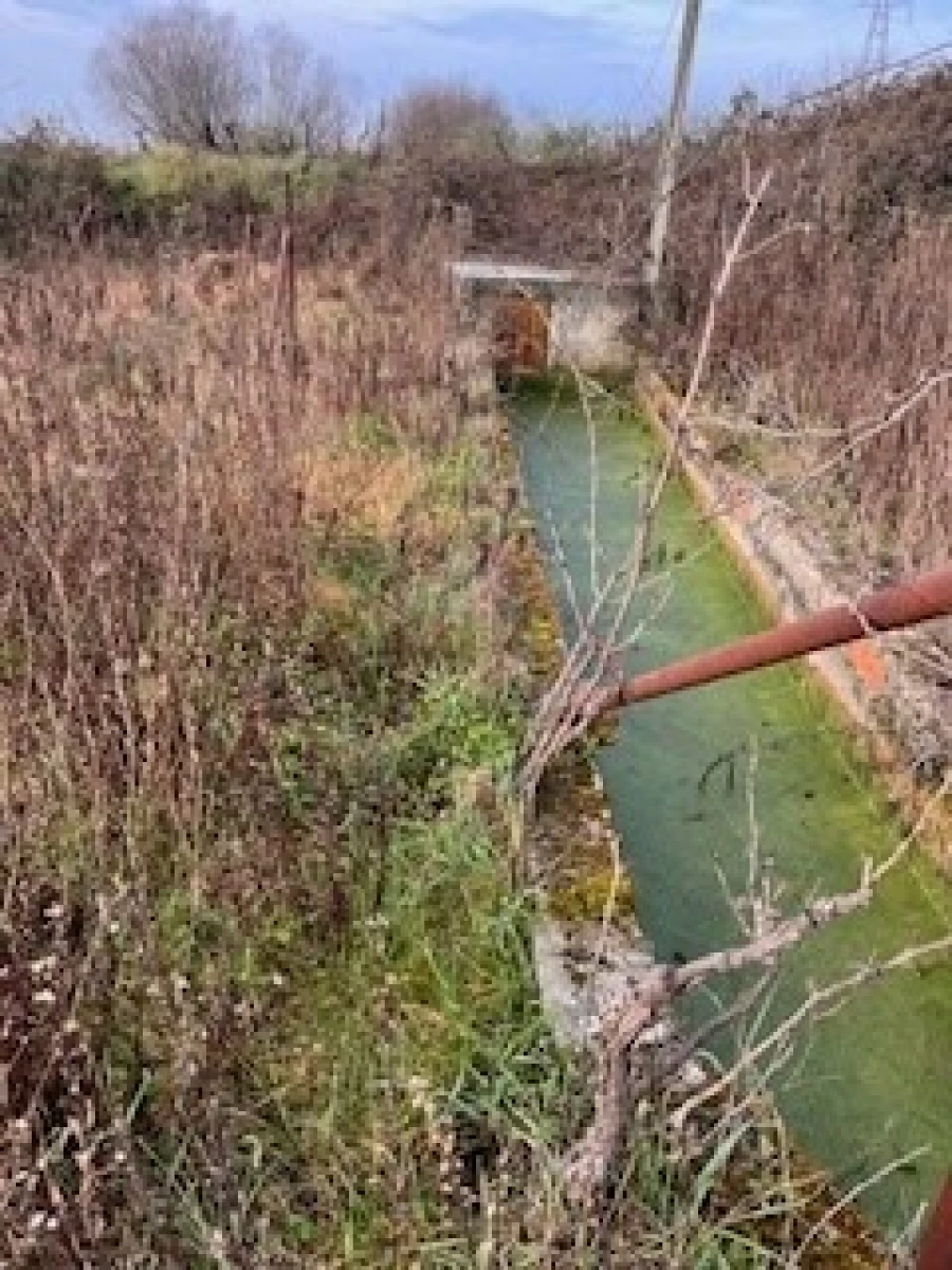 Terreno Agricola ou Rústico para Venda em Ferro Foto 2