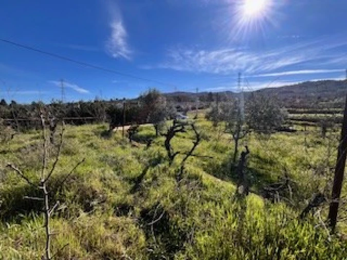 Terreno Agricola ou Rústico para Venda em Ferro Foto 18