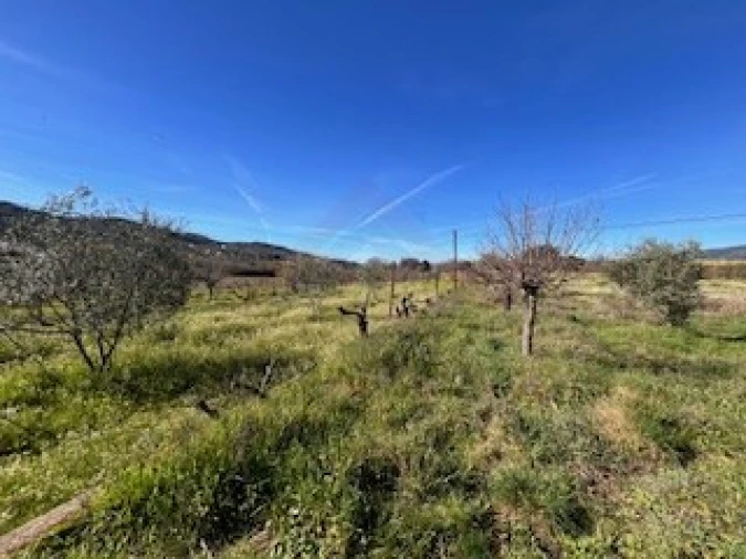 Terreno Agricola ou Rústico para Venda em Ferro Foto 19