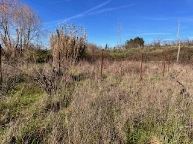 Terreno Agricola ou Rústico para Venda em Ferro Foto 28