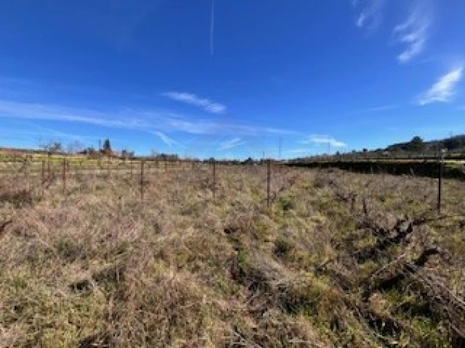 Terreno Agricola ou Rústico para Venda em Ferro Foto 31