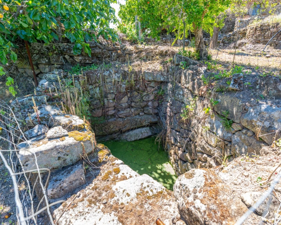 Quinta T3 para Venda em Vale de Prazeres e Mata da Rainha Foto 33
