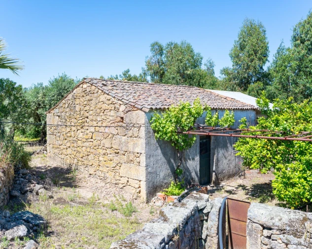 Quinta T3 para Venda em Vale de Prazeres e Mata da Rainha Foto 30