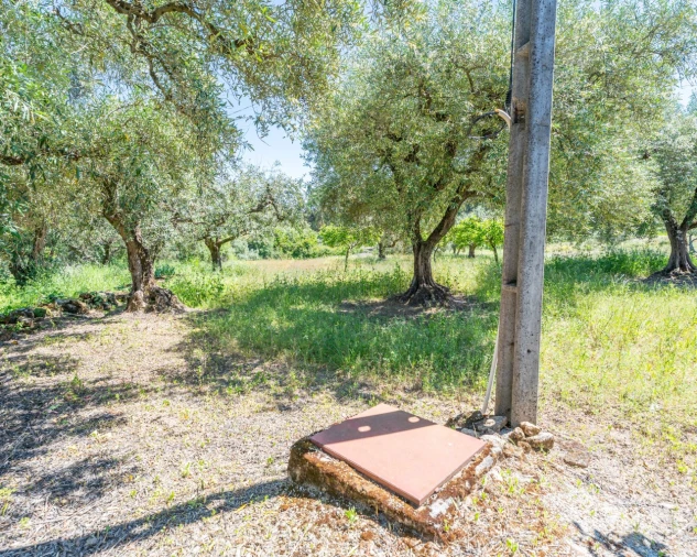 Quinta T3 para Venda em Vale de Prazeres e Mata da Rainha Foto 38