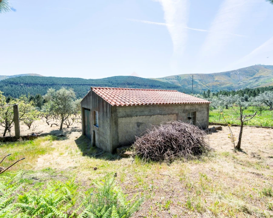 Quinta T3 para Venda em Teixoso e Sarzedo Foto 14