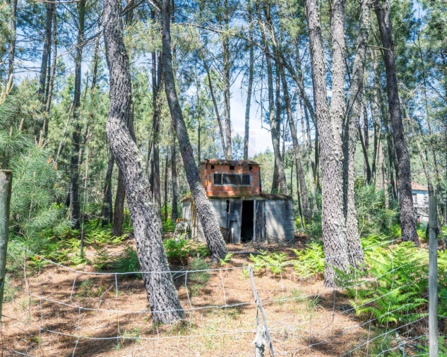Quinta T3 para Venda em Teixoso e Sarzedo Foto 15