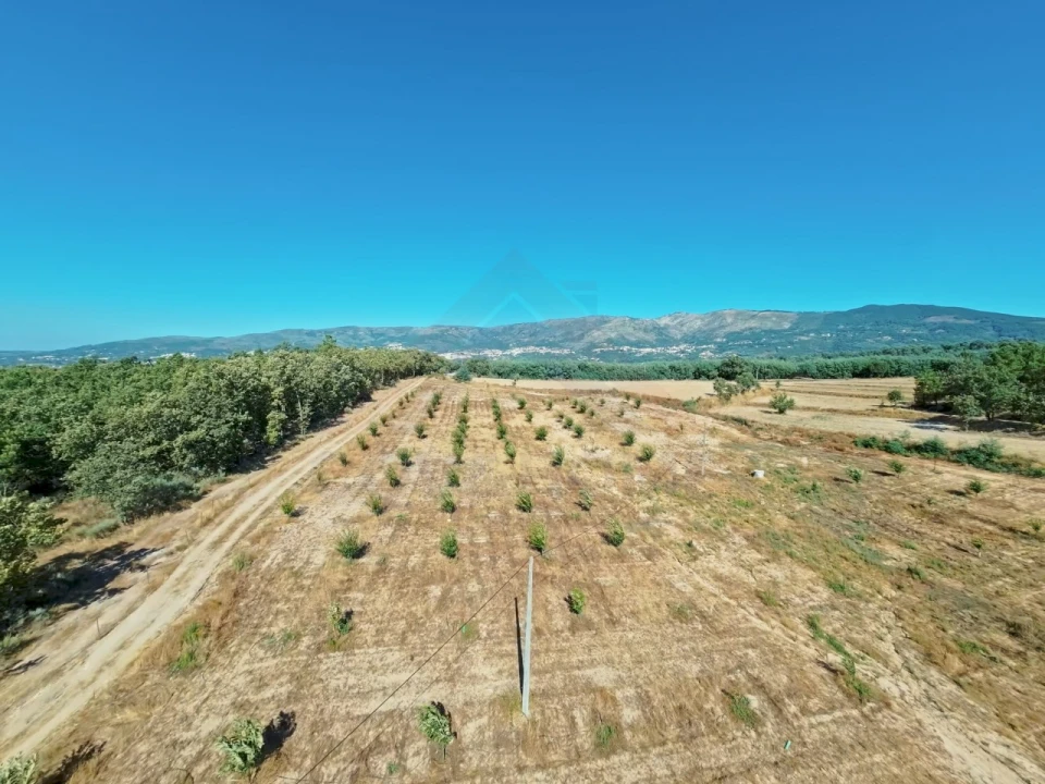 Quinta T2 para Venda em Covilhã e Canhoso Foto 8