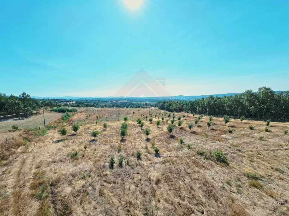 Quinta T2 para Venda em Covilhã e Canhoso Foto 9