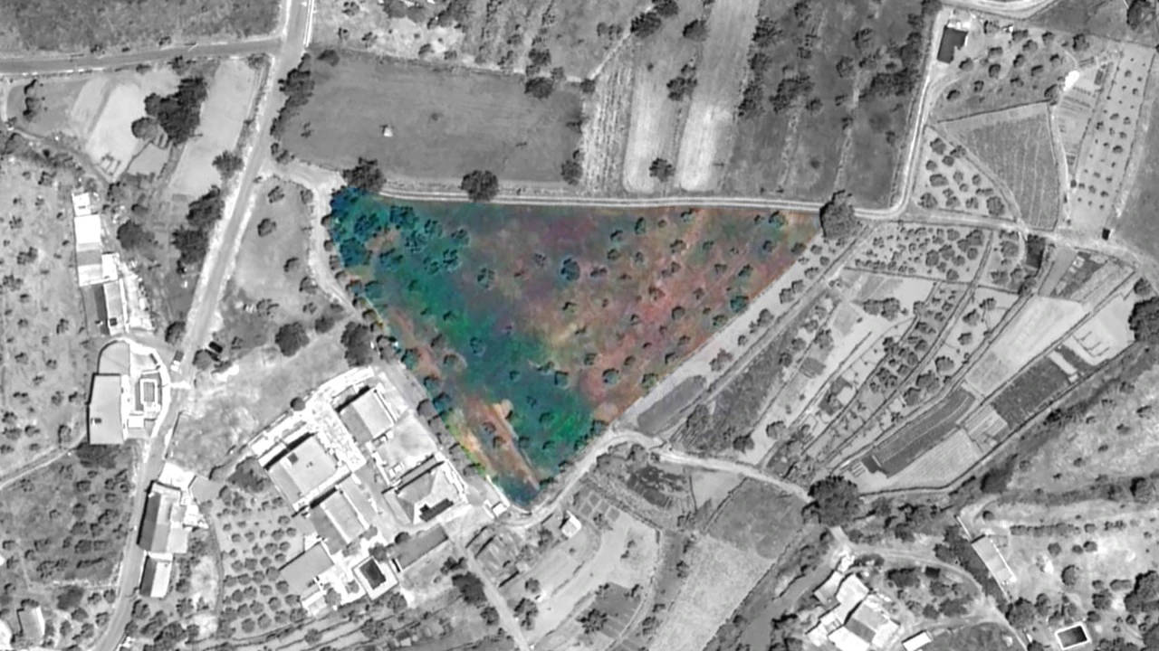 Terreno Agricola ou Rústico para Venda em Tortosendo Foto 7