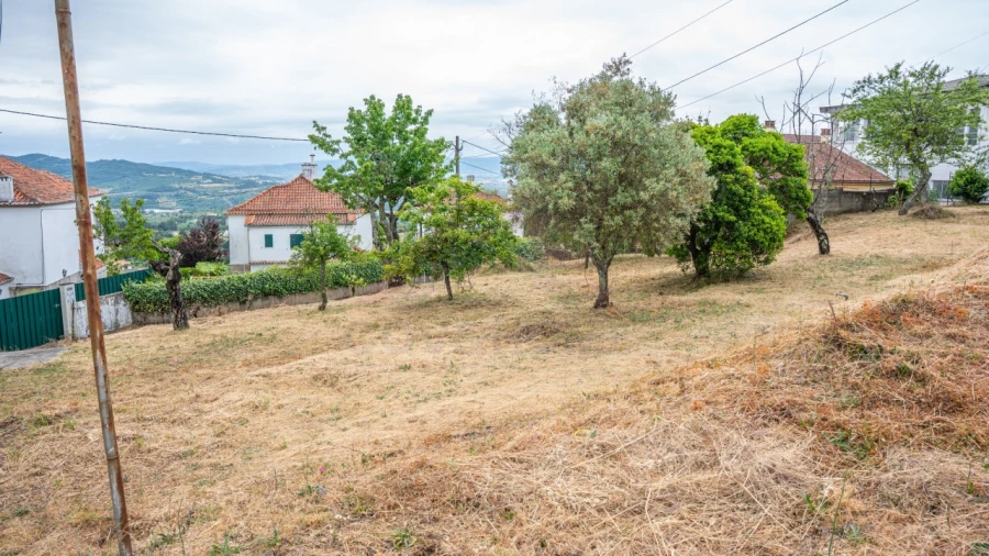 Terreno Agricola ou Rústico para Venda em Tortosendo Foto 5