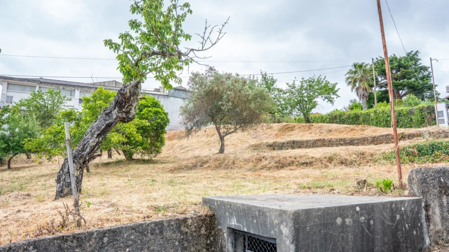 Terreno Agricola ou Rústico para Venda em Tortosendo Foto 9