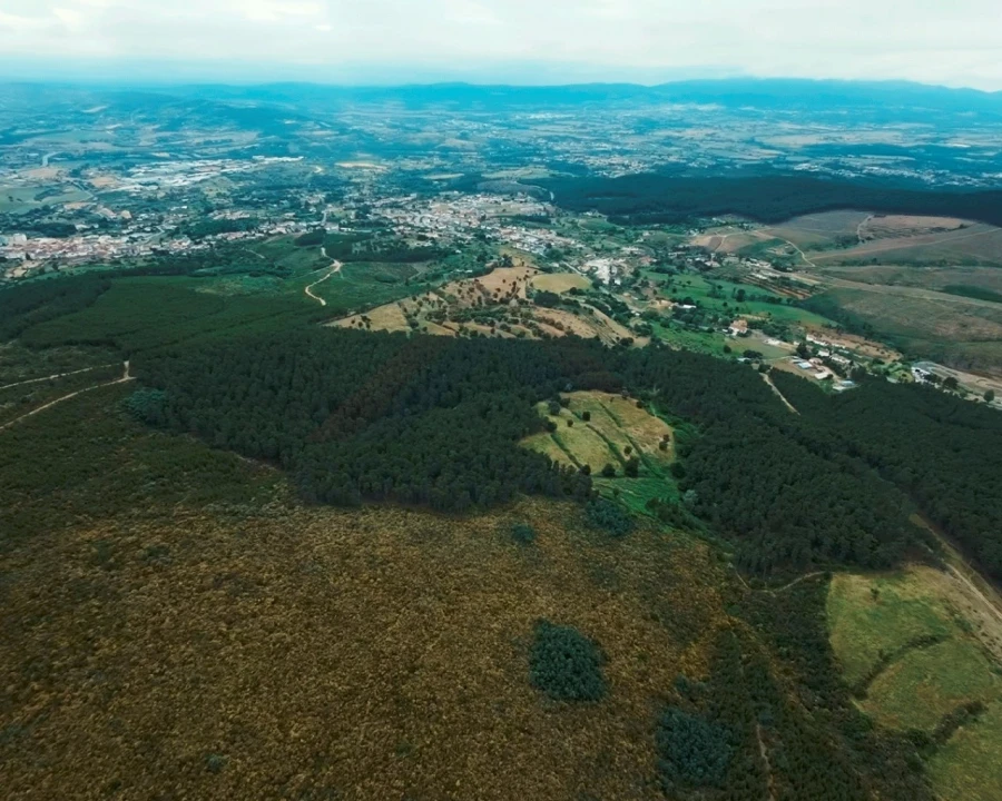 Quinta para Venda em Tortosendo Foto 3
