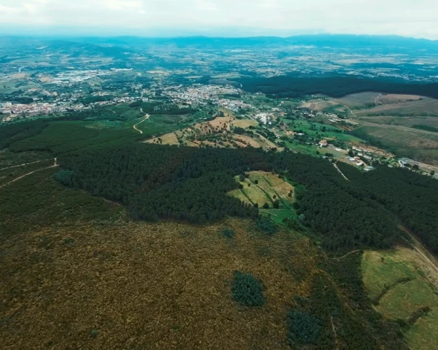 Quinta para Venda em Tortosendo Foto 3