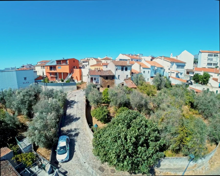Terreno Agricola ou Rústico para Venda em Dominguizo Foto 4