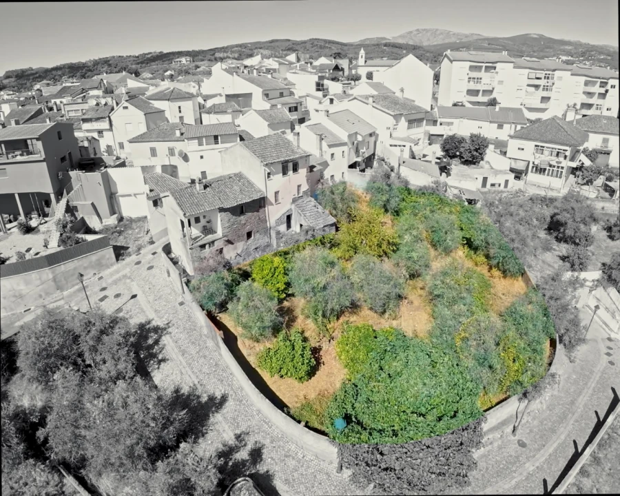 Terreno Agricola ou Rústico para Venda em Dominguizo Foto 8