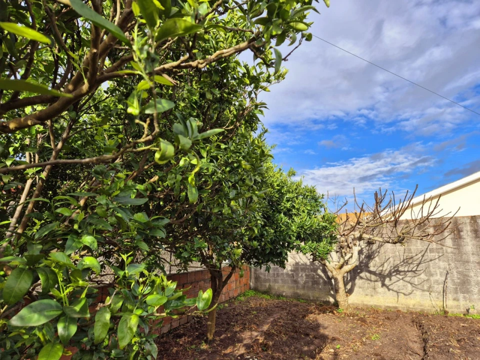 Terreno para Venda em Maiorca Foto 7