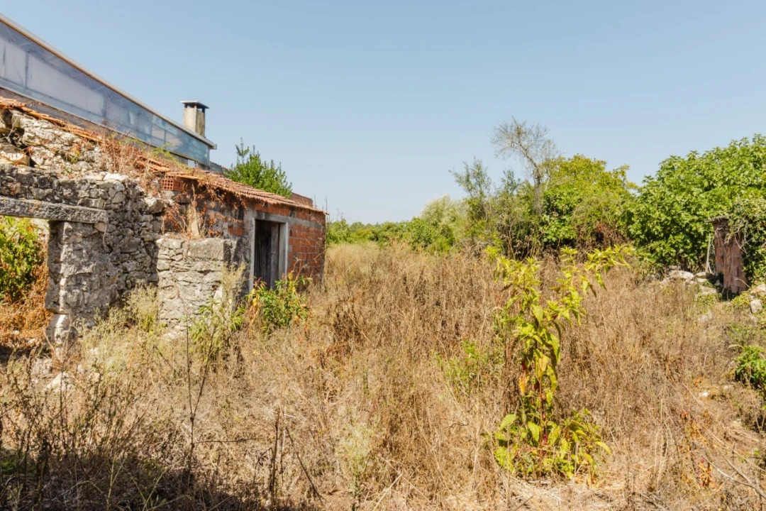 Moradia T3 para Venda em Cadima Foto 3