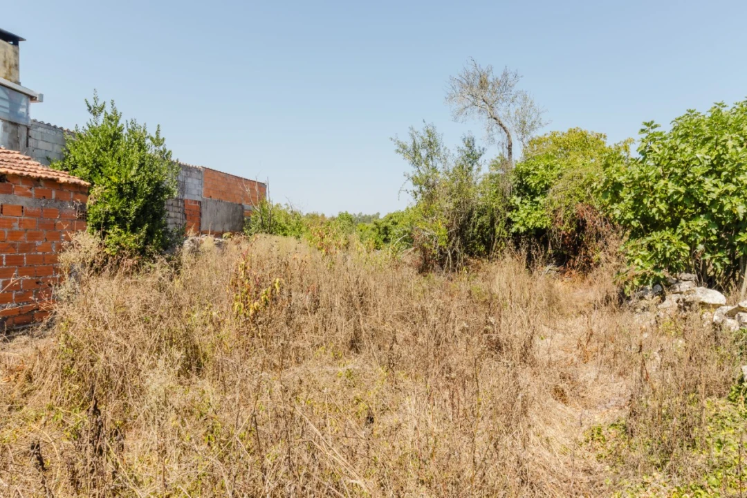 Moradia T3 para Venda em Cadima Foto 4