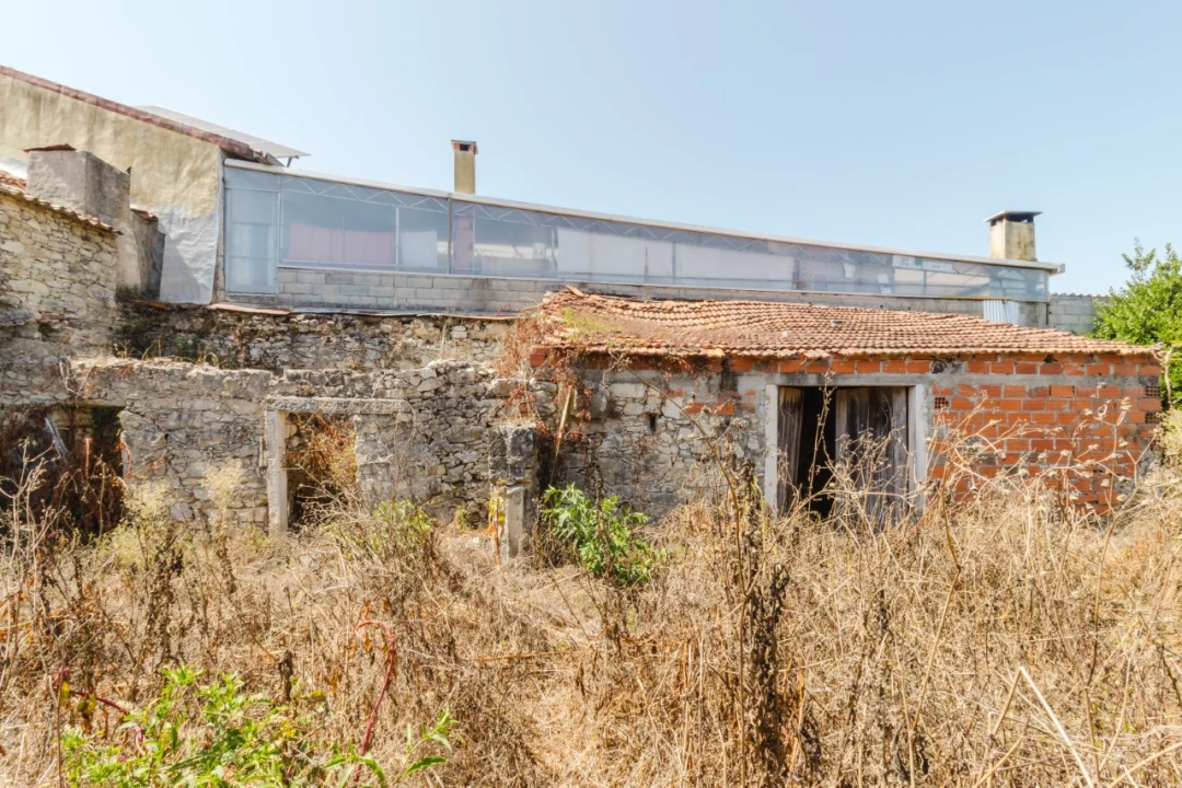 Moradia T3 para Venda em Cadima Foto 5