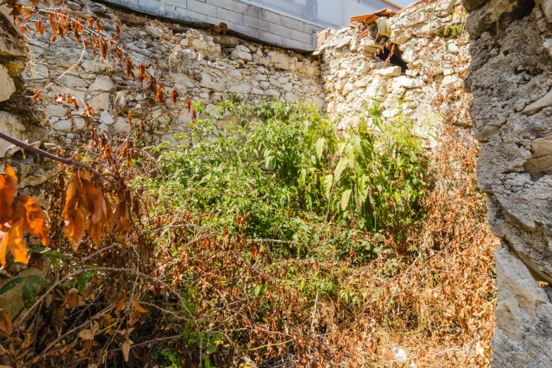 Moradia T3 para Venda em Cadima Foto 7