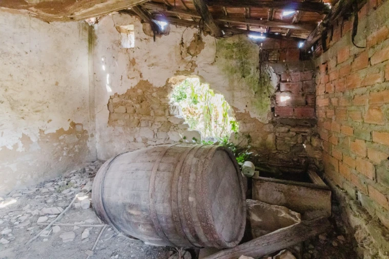 Moradia T3 para Venda em Cadima Foto 8